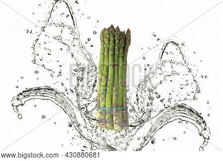 Green Asparagus With Long Stem Green Asparagus With Long Stem