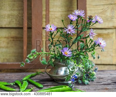 Bouquet Of Virginian Asters In A Metal Vase On A Wooden Table Of A Country House Close-up