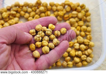 Turkey çorum Salted Chickpeas, Chickpeas Close-up, Yellow Chickpeas,