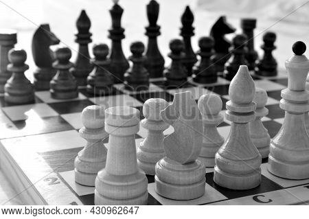 Chess Pieces On Wooden Chessboard. Black And White.