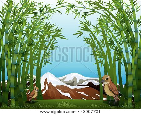 Ilustracja widzenia Las bambusowy