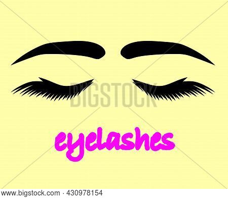 Long Eyelashes And Eyebrows. Eyelash Extension. Beauty Saloon. Vector Illustration.