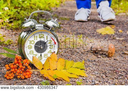 There Is An Alarm Clock With Autumn Leaves And A Mushroom On The Path In The Park. In The Distance, 