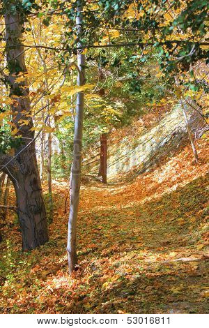 Autumn Hiking Trail