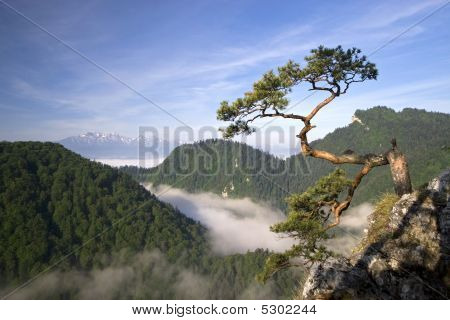 SOKOLICA Peak v Pieniny, Polsko