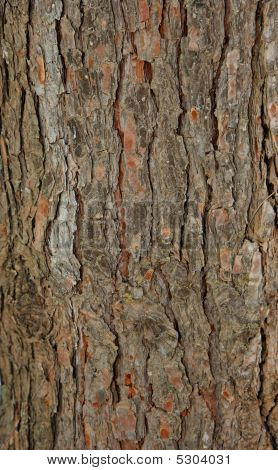 YogiBrood Bark tekstur