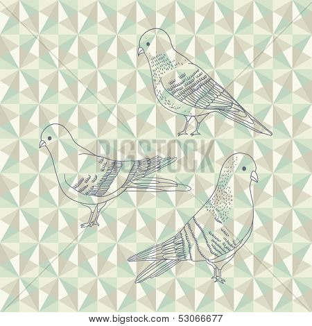 Vector hand drawn illustration of cartoon pigeons 
