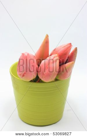 Ginger Flowers