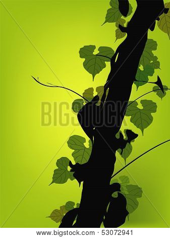 Vine Growing On A Tree  Vector.eps
