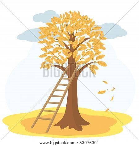 Autumn tree with yellowed leaves and stairs