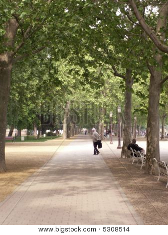 Park