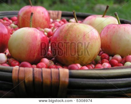 Äpfel und Preiselbeeren