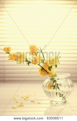 Yellow Japanese Kerria in Flower Vase