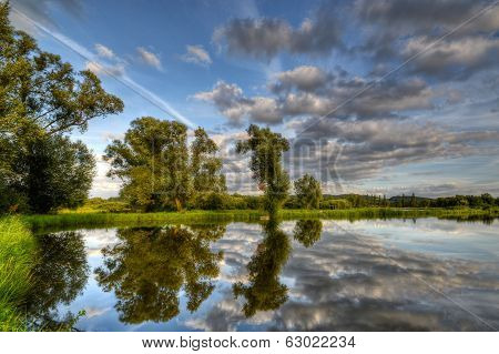 Reflection in water