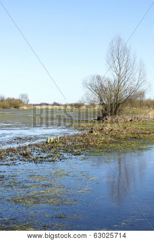 Early spring in the Biebrza National Park, Poland, Podlasie