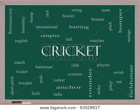 Cricket Word Cloud Concept On A Blackboard