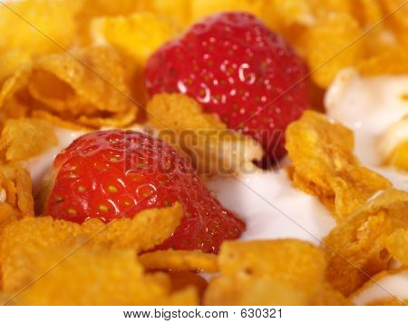 Cereales para el desayuno