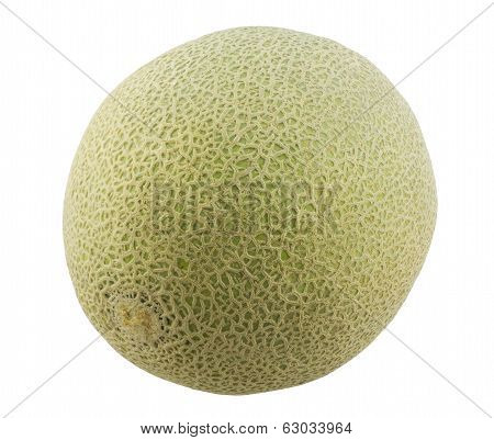 cantaloupe melon. Isolated on white