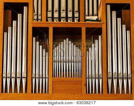 Organ