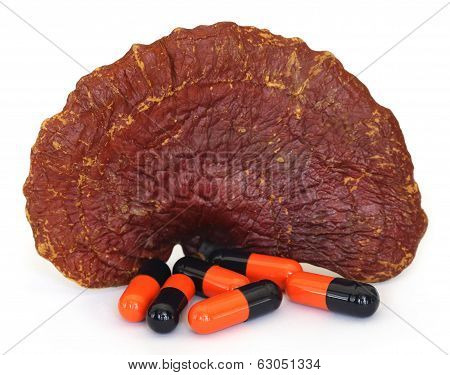 Ganoderma Mushroom With Capsule