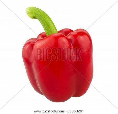 red pepper. isolated on white