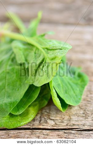 .raw Green Spinach On Wooden Table