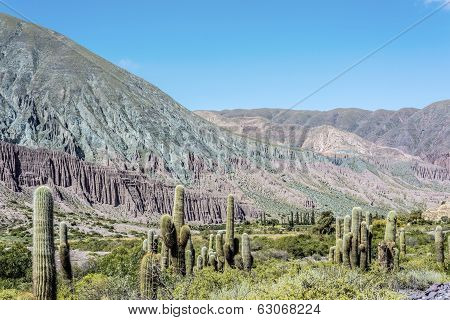 Cienaga, Quebrada De Humahuaca, Jujuy, Argentina.