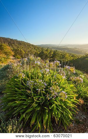 Beautiful view of the Adelaide Hills