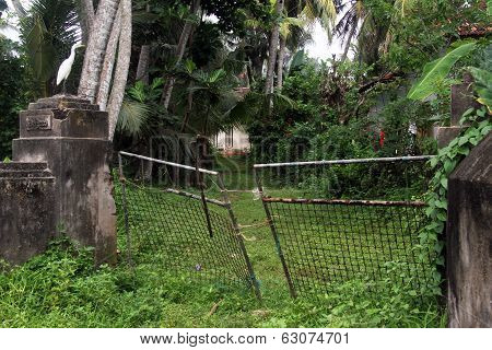 Gate Of Old House