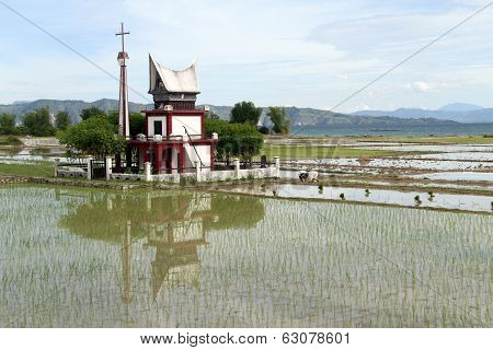 Batak Grave And Rice