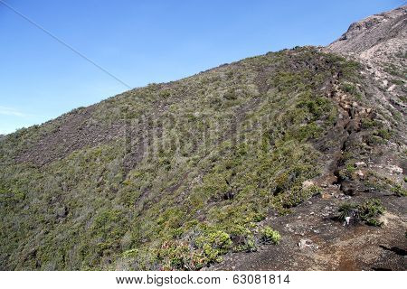 Footpath On The Slope