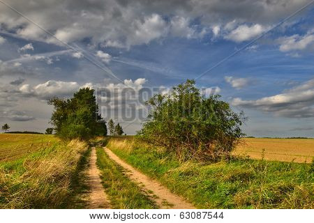 Journey to the fields