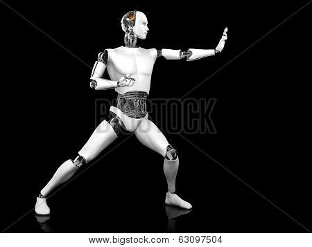 Male Robot In Fighting Karate Pose.
