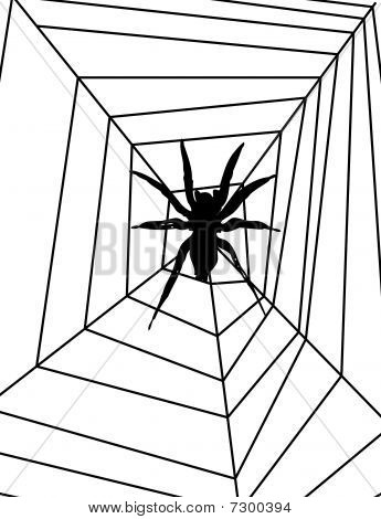 Örümcek web
