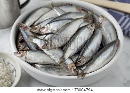 Fresh raw European sprat on a dish