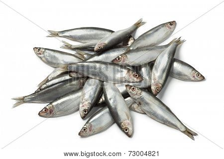 Fresh raw European sprats on white background