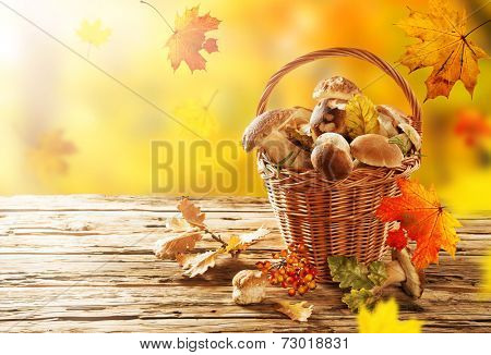 Ceps on wooden table, autumn harvest crop