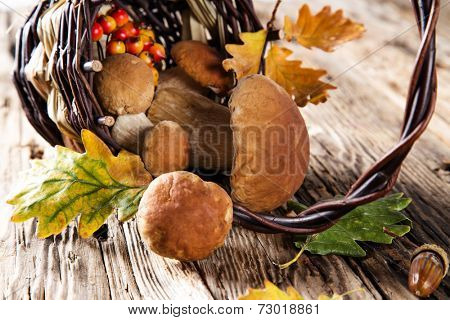 Ceps on wooden table, autumn harvest crop