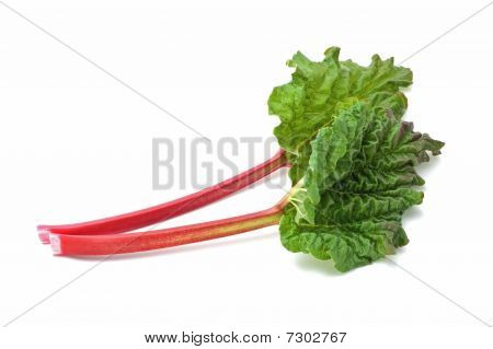 Rhubarb