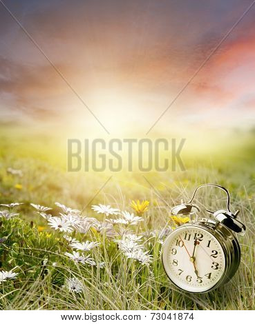 Alarm clock in sunlit spring field