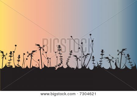 잔디 실루엣과 하늘