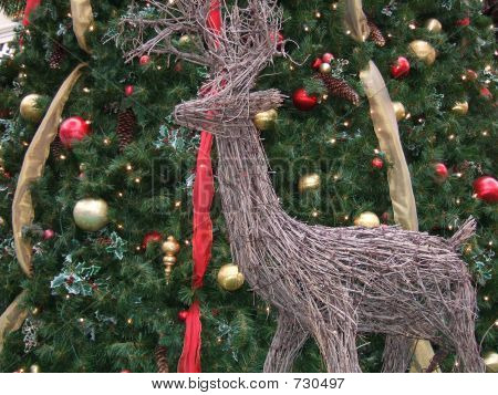 Natale cervi