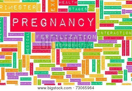 Pregnancy Concept Preparation of an Expecting Parent