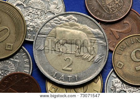 Coins of Latvia. A cow symbolised Latvian countryside depicted in old Latvian two lats coin. 
