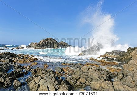 North coast from Aruba island