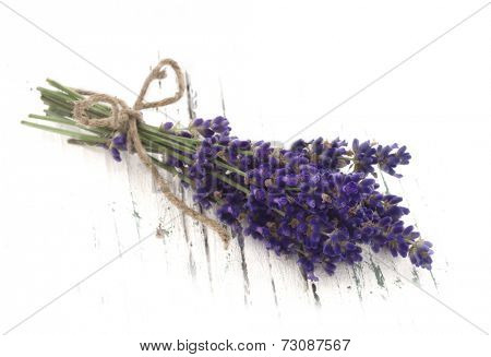 fresh lavender