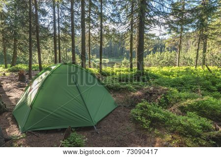green tent on forest closeup