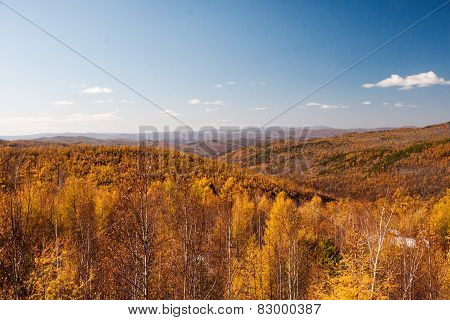 Grassland autumn scenery in China