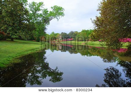 Reflexní řeka