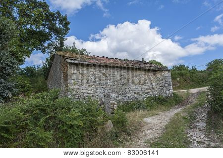 Rural Landscape